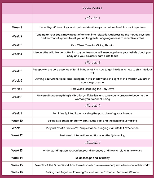 Vintage Pink Daily Class Schedule Instagram Post.png