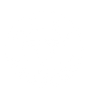 ZJU logo HD-01.png