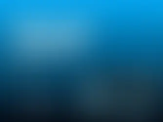 First Place at the Open Data Competition