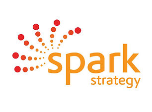 38. Synchronicity Consulting t.a. Spark Strategy