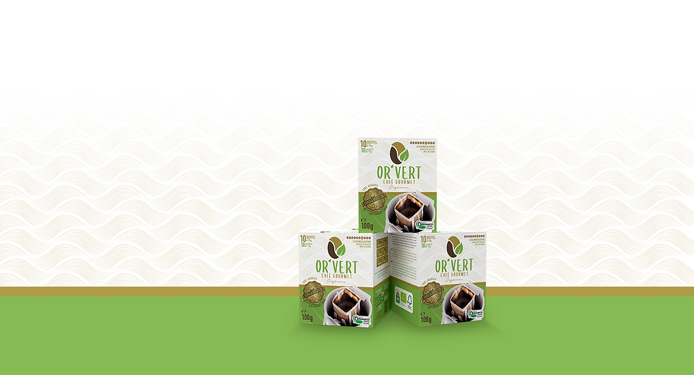 ok-png-PRODUTOS_02_DRIP.png