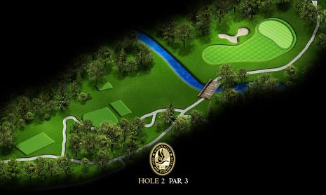 Signature Hole - #2 Gold at Kingsville Golf