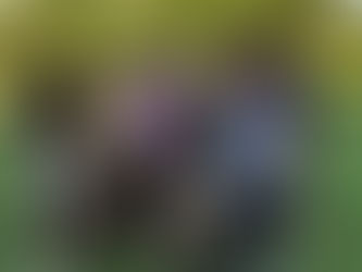 On Course Fun with Friends !!