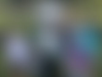 PANDA BEAR VISITS OUR JR. GOLF LESSONS !!