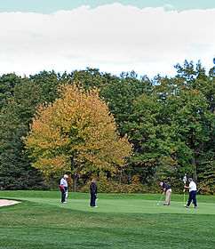 Image of members golfing at Kingsville Golf