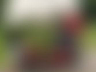 IGNITE THE SPIRIT ORGANIZERS HAD A GREAT FUNDRAISER !!