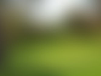 Nice to Hear Great Things From Our Local Councillor Attending Rotary Golf Tournament