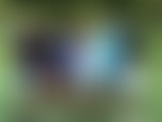 Putted for ‘EAGLE’ on 6 White !!!