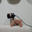 Miniatura: Lampara FunDog articulada
