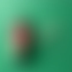 How PFC Education Helps You Build a Global Career with ACCA