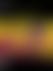 "De Drie Trieste Tijgers" de Laura Bloem (neerlandés).  