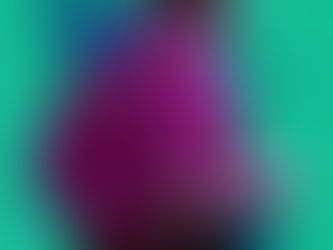 Dos poemas de Roy Alfonso Vega Jácome