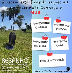 Capturar.PNG