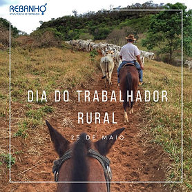 210528 - DIA DO TRABALHADOR RURAL.jpeg