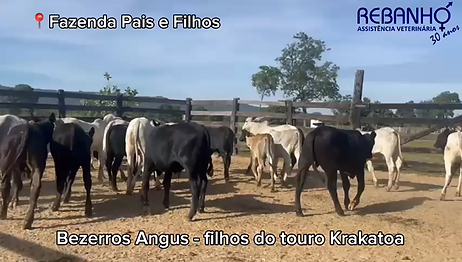 Capturar.PNG