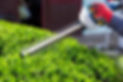 iStock-471703978.jpeg