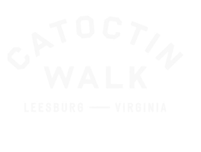 CAT_AR_HeaderGraphic (2)_edited.png