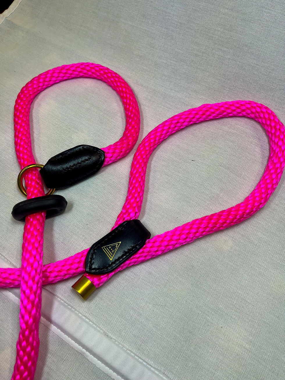 Thumbnail: Rope Slip Leads