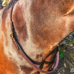 bespoke Hand made leather neck strap oh shit strap British Cumbria made to measure  unique colourful traditional qualified bridle maker