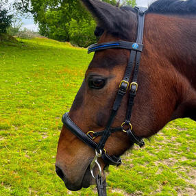 Handmade Horse bridles bespoke made to measure qualified bridle maker Cumbria England anatomical   