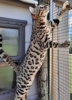 213170386_185730356902371_5835962014227823643_n_edited