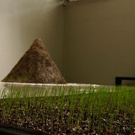 Vacíos alternos: vida, muerte y deseo en México