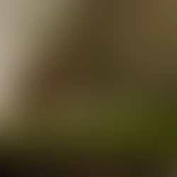 Vacíos alternos: vida, muerte y deseo en México