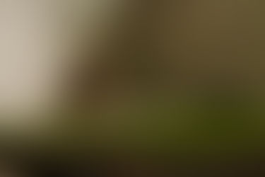 Vacíos alternos: vida, muerte y deseo en México