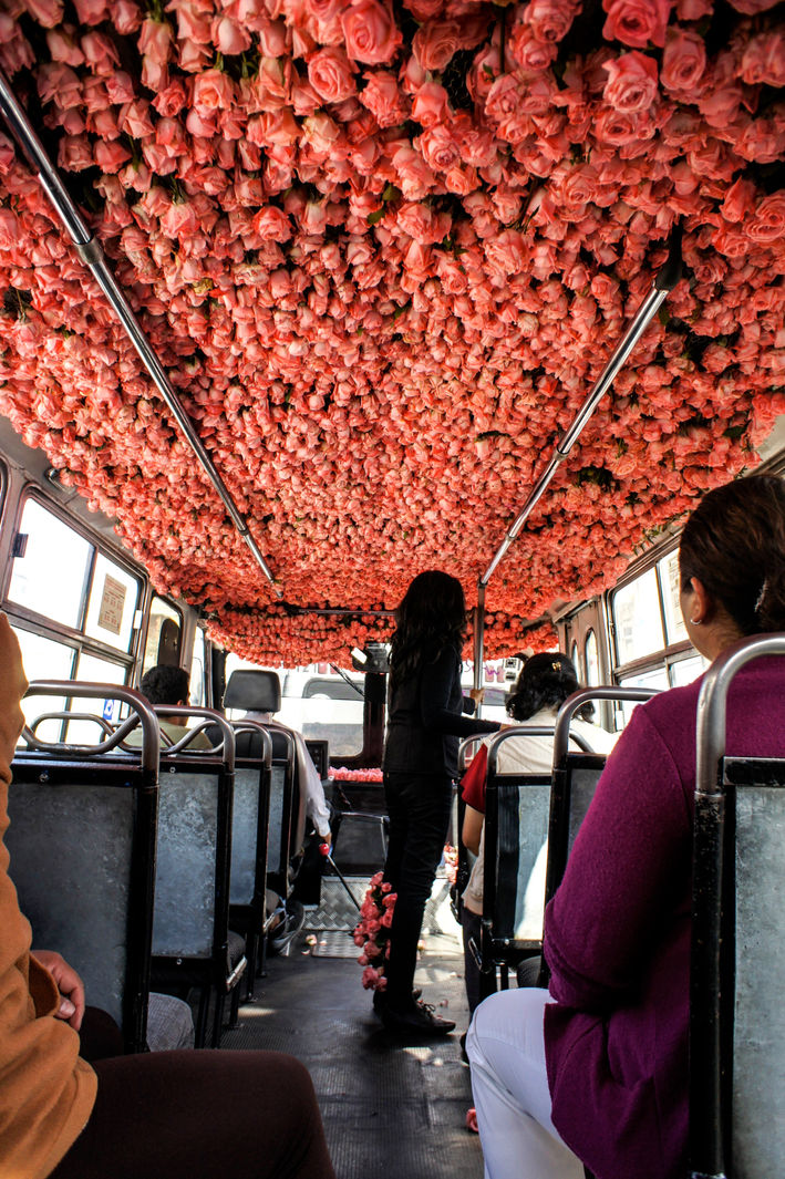 Parábola II: Ruta en Flor Urbana