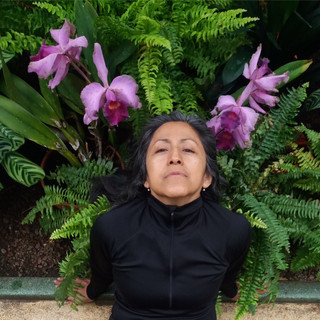 La enana de las orquideas, Botanic Park, Belfast 2017