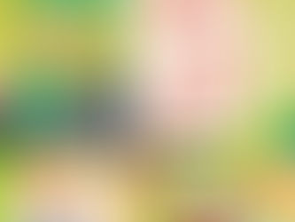 令和8年度 夏のほんまる茜市 開催!