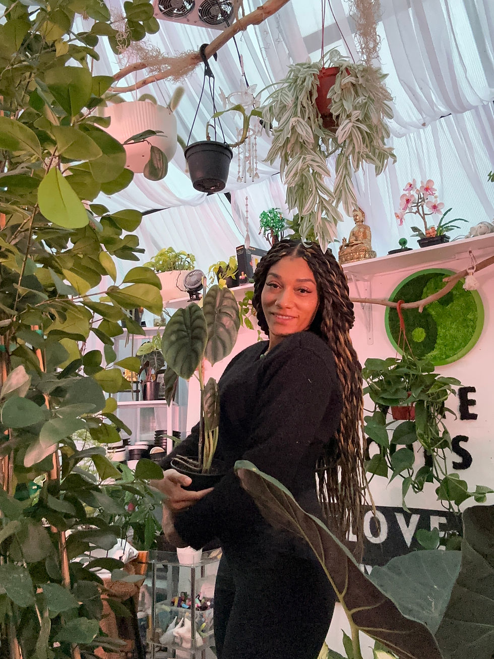 Plant care as Blueprints for Self-Care: How Tending to Nature Helped Me Heal Myself