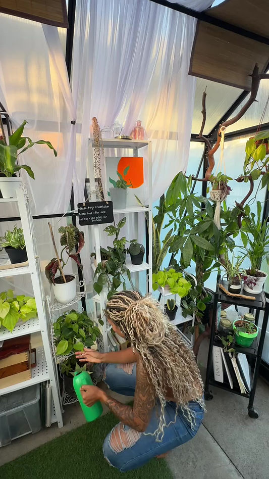Divine Roots Divine Roots | Plant Services & Art | Palo Alto, CA, USA