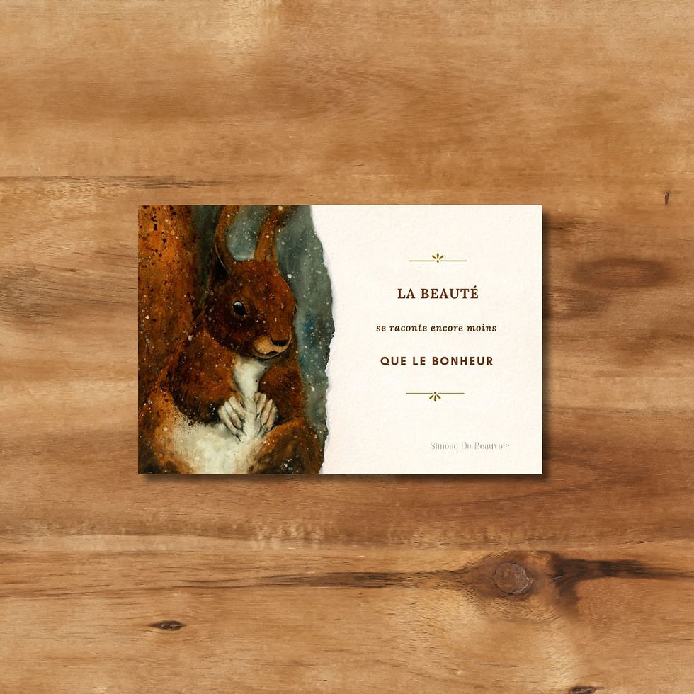 Miniature : Lot de 10 cartes postales Soleïad