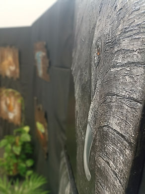 éléphant détail texture