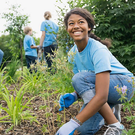 Scène de l'agriculture