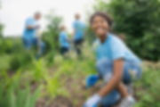 Scene Agricoltura