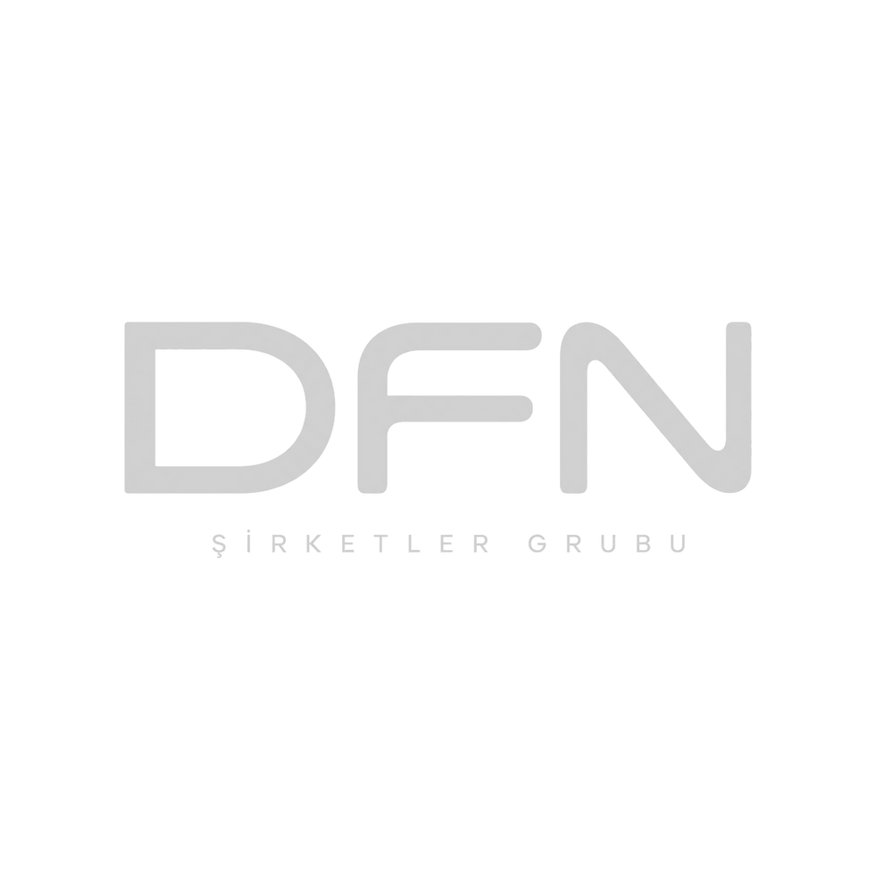 DFN Sirketler Grubu II Logo_edited.png