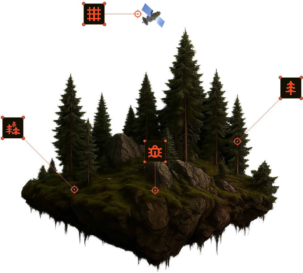 layout foremyc technology