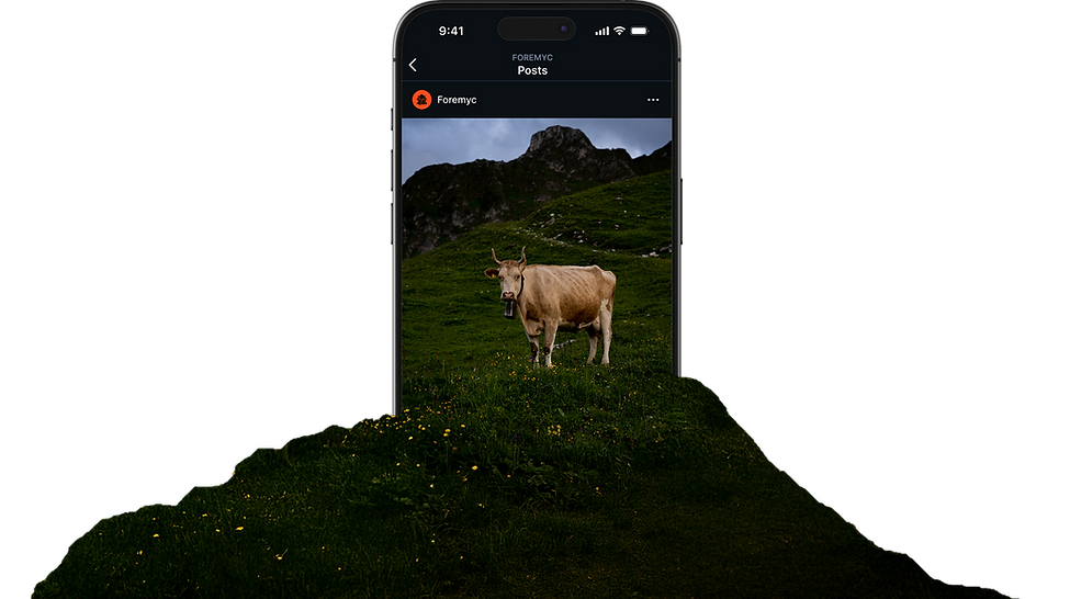 Foremyc instagram banner