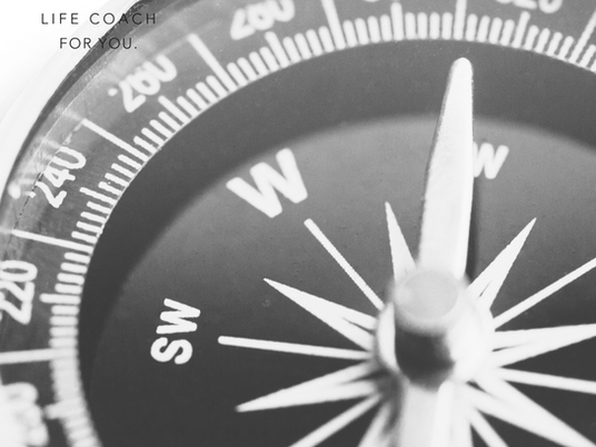 Gut Instincts: Your Second Brain Is Smarter Than You Think