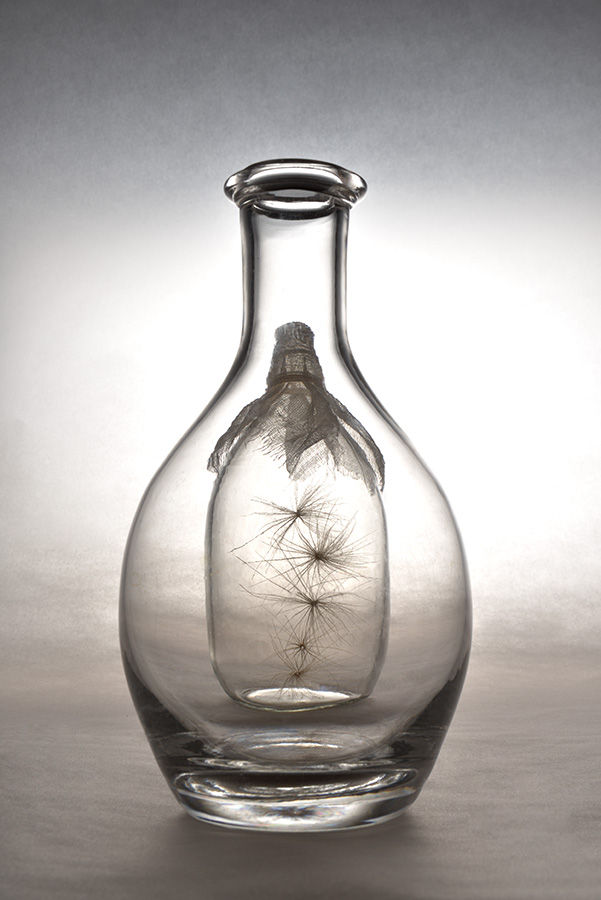 Thistleâs_fluffs