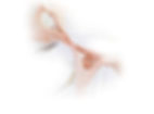 home-background.jpg