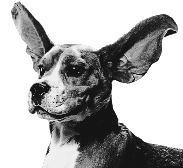 Studio-Project (7).png