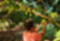 récolte 7_edited.jpg