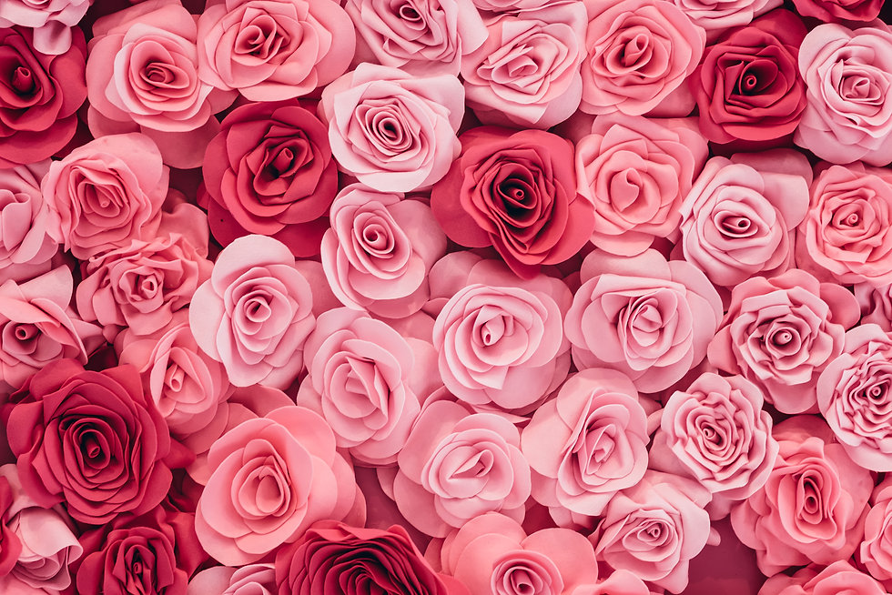 background-image-of-pink-roses.jpeg