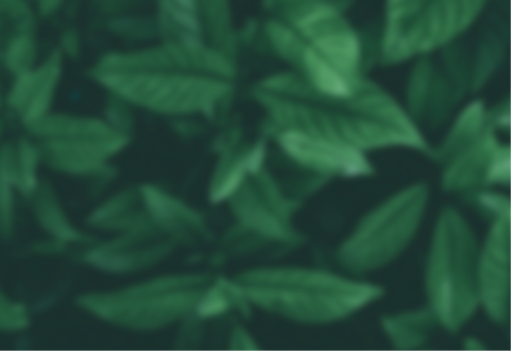 Plantes.png