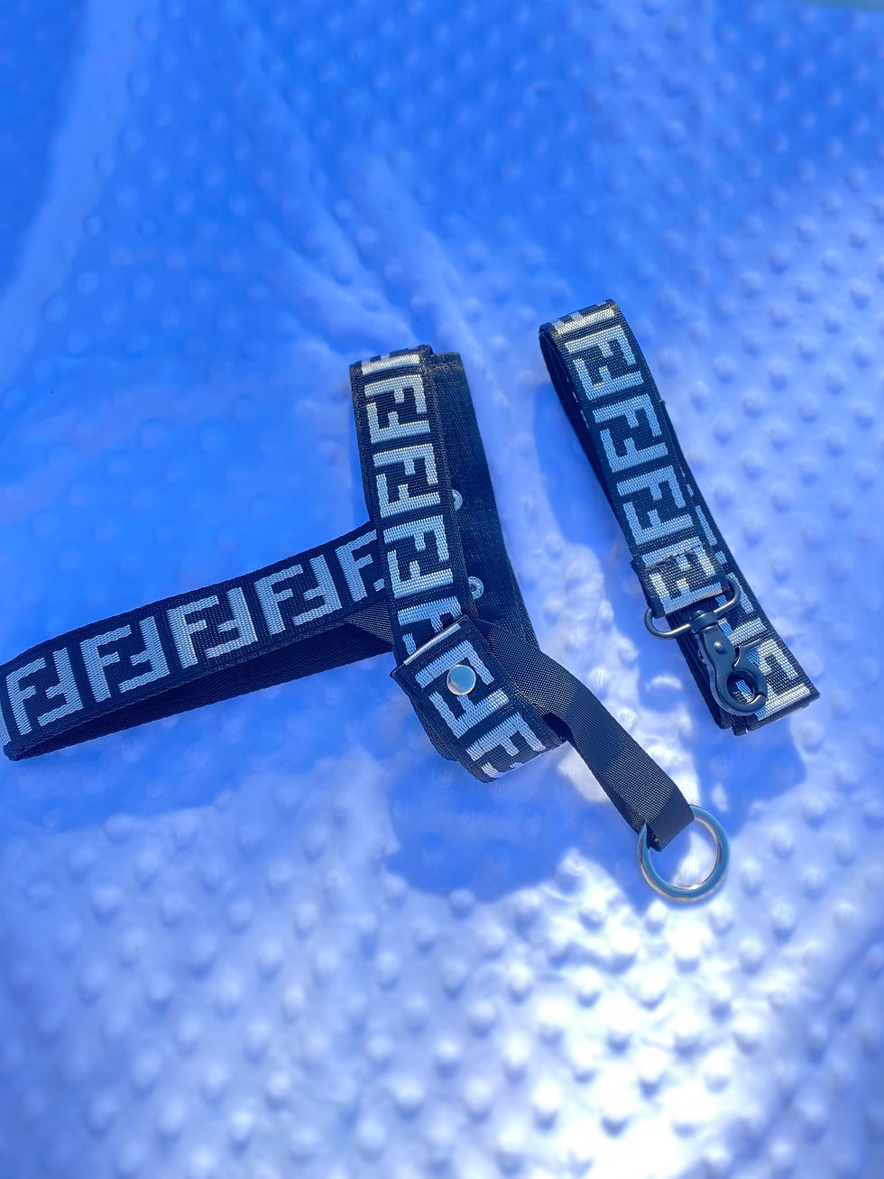 Thumbnail: Fendi Harness &Leash set