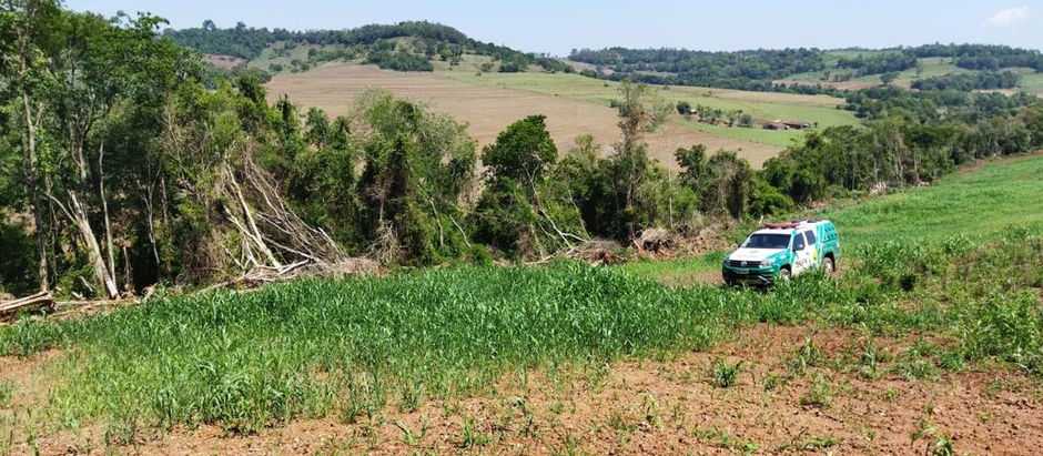 Policial Ambiental registra duas ocorrências de crimes ambientais