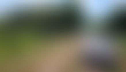Disputa por terras termina em tiroteio com três mortos e um ferido